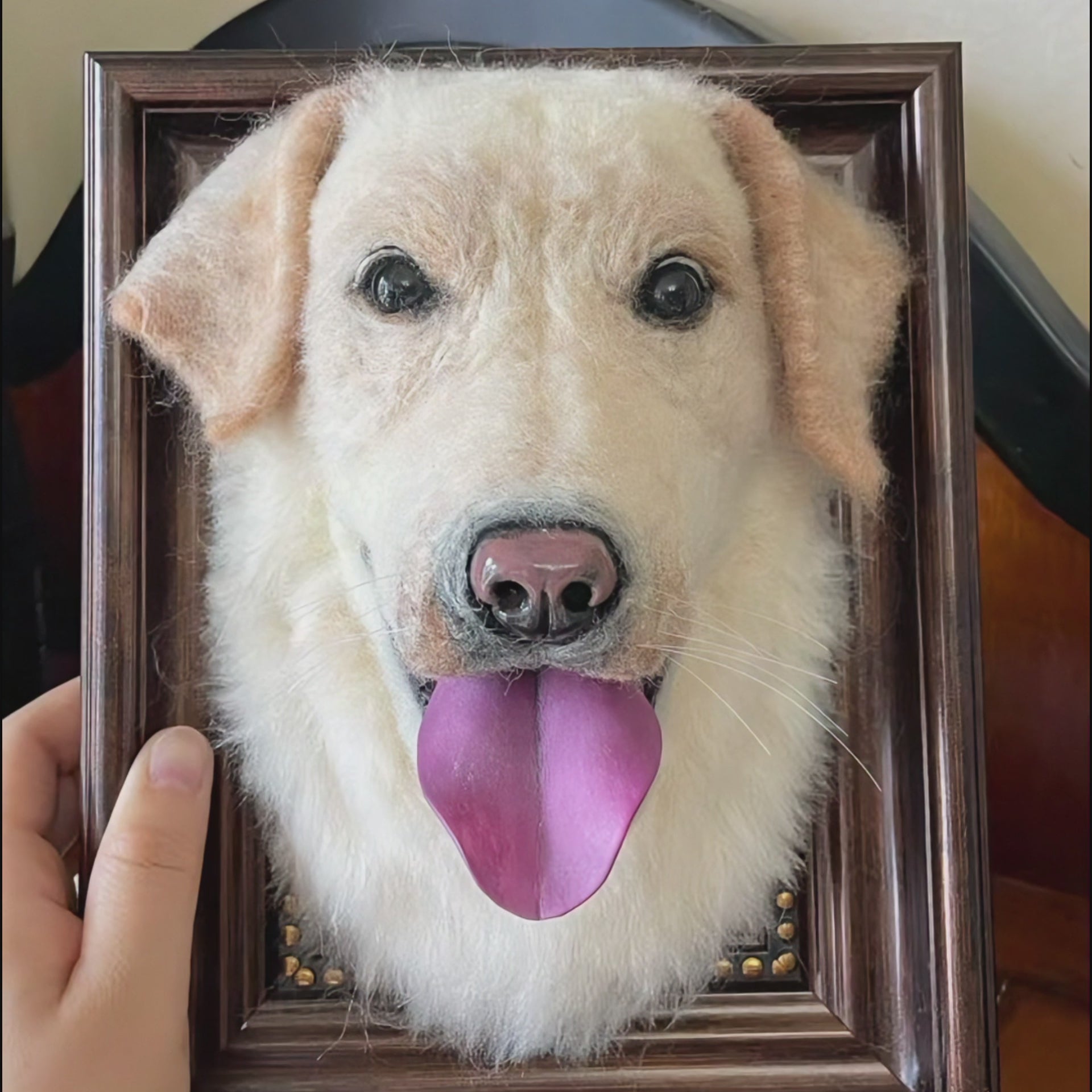 MY PAWZUKI